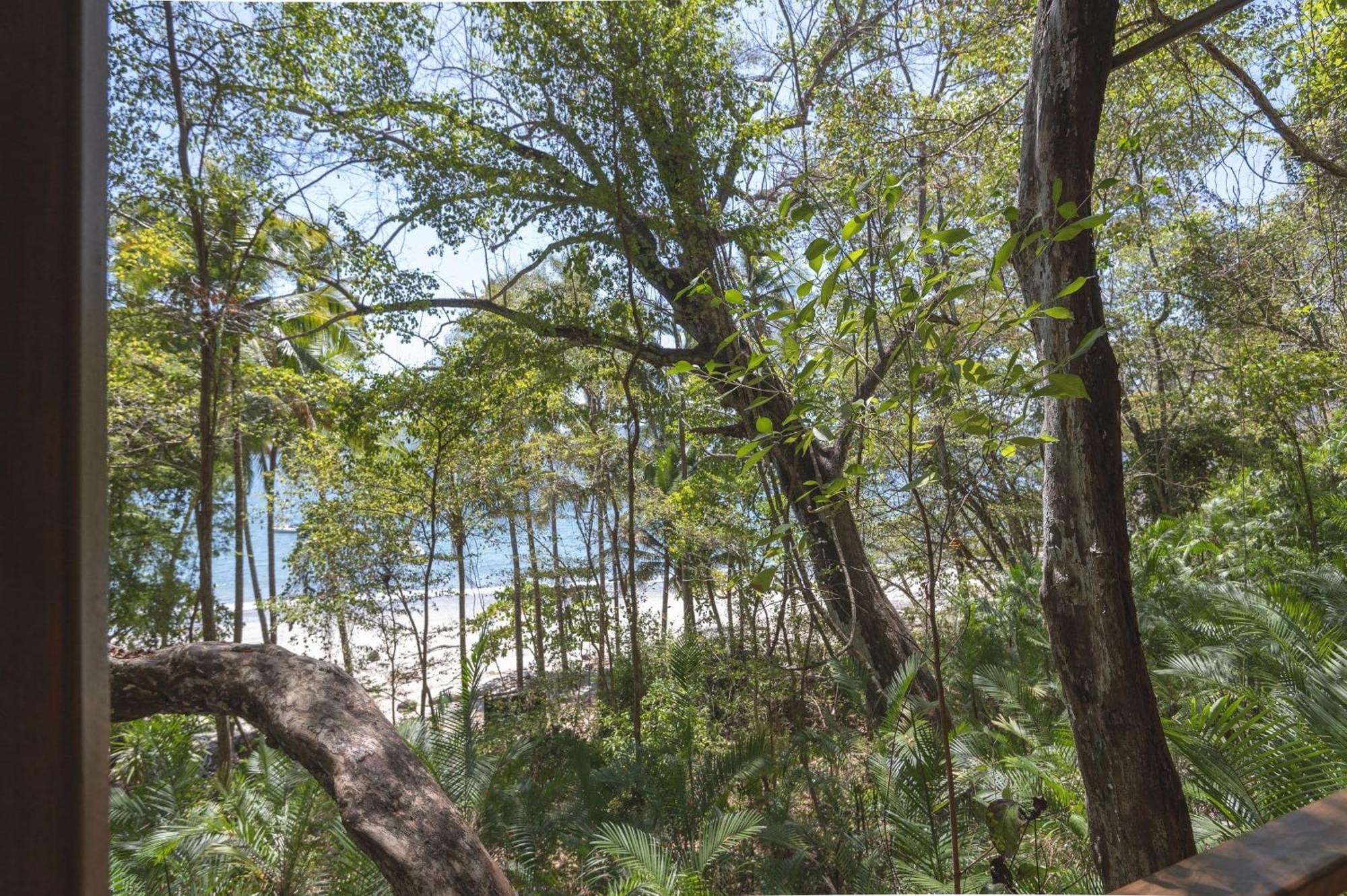 Los Vivos Beachfront Experience Pochote エクステリア 写真